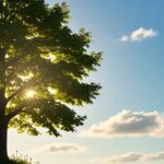 Daily Devotional for Peace and Calmness