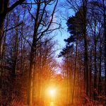 Night prayer is one of the simplest yet most powerful spiritual habits you can practice.