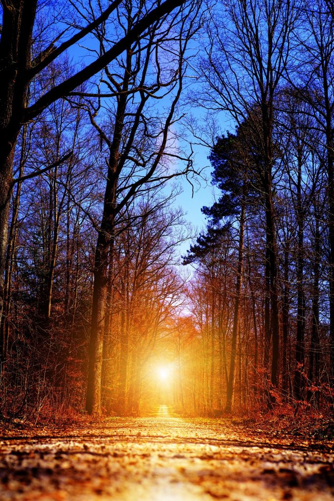 Night prayer is one of the simplest yet most powerful spiritual habits you can practice.